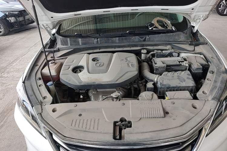 Used CHANGAN Eado 2018 1.6L GDI Manual Trendy Model China V Standard Engine Bay