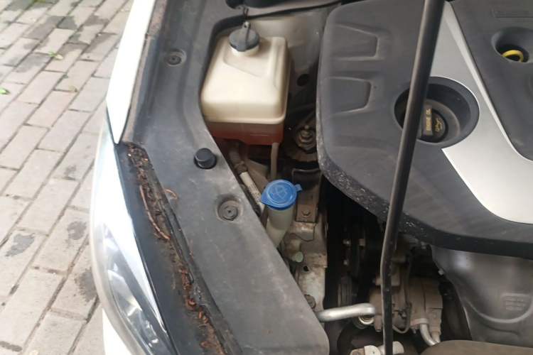 Used CHANGAN Eado 2018 1.6L GDI Manual Fashion Edition Engine Bay Right