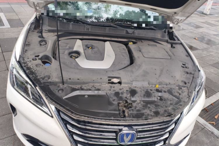 Used CHANGAN Eado 2018 1.6L GDI Automatic Trendy Model China V Standard Engine Bay