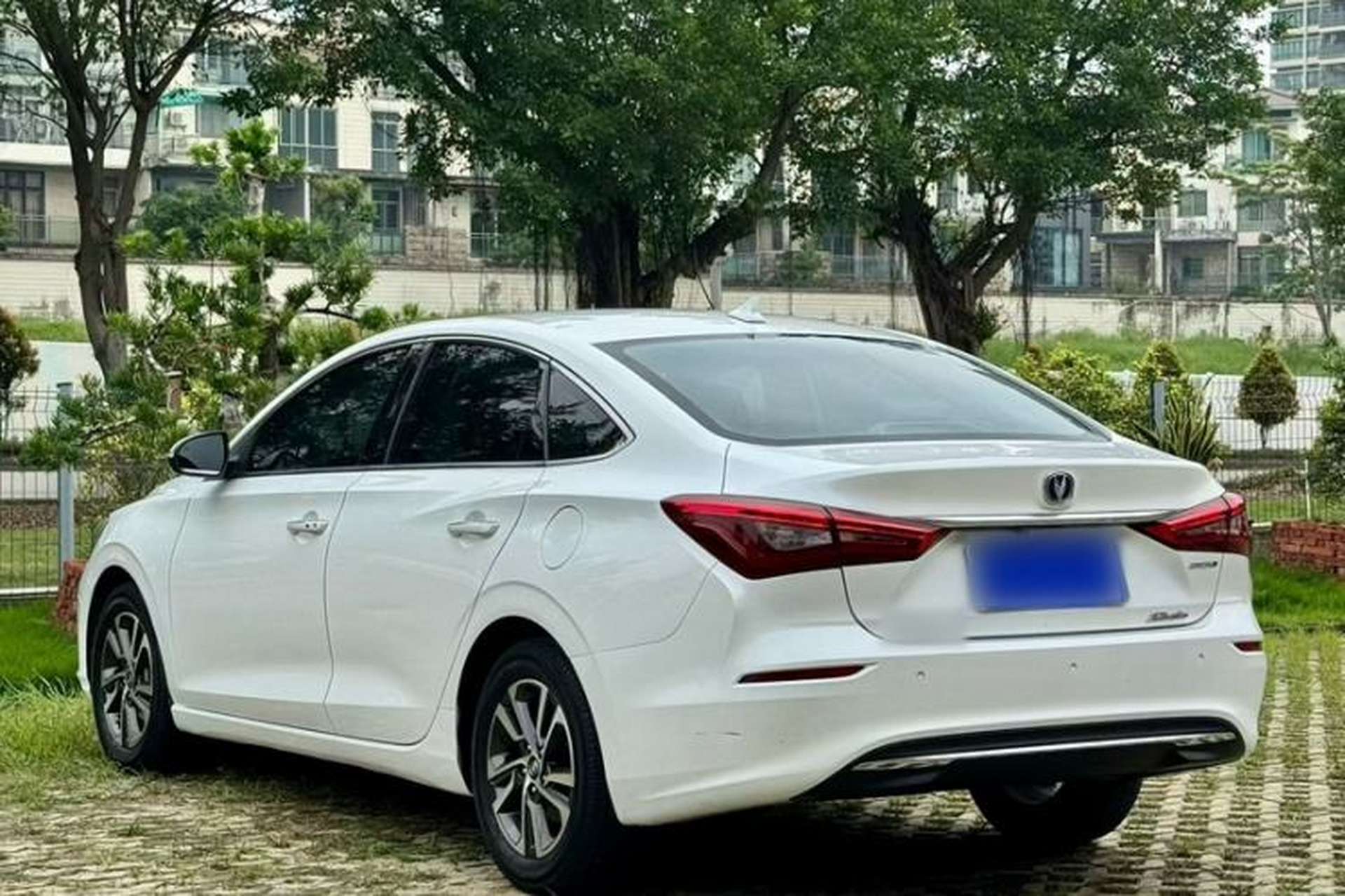 Used CHANGAN Eado 2018 1.6L GDI Automatic Fashion Edition Exterior 6