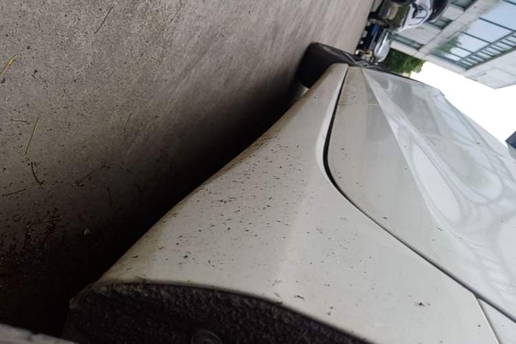 Used CHANGAN Eado 2018 1.6L GDI Automatic LingShang Model Left Side Sill