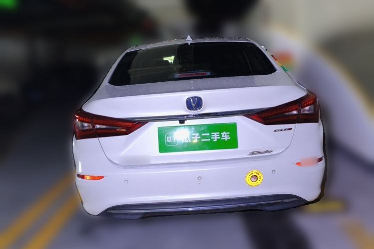 Used CHANGAN Eado 2018 1.6L GDI Automatic LingShang Model Rear