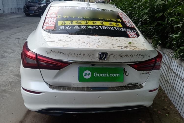 Used CHANGAN Eado 2018 1.6L GDI Automatic LingShang Model Rear