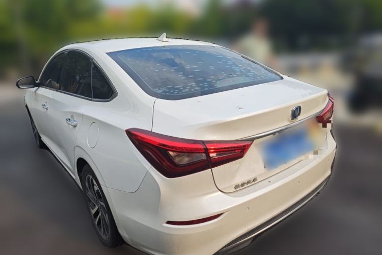 Used CHANGAN Eado 2018 1.6L GDI Automatic LingShang Model Rear Left 45 Deg
