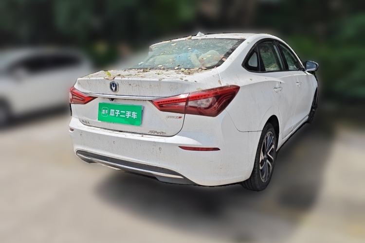 Used CHANGAN Eado 2018 1.6L GDI Automatic LingShang Model Rear Right 45 Deg