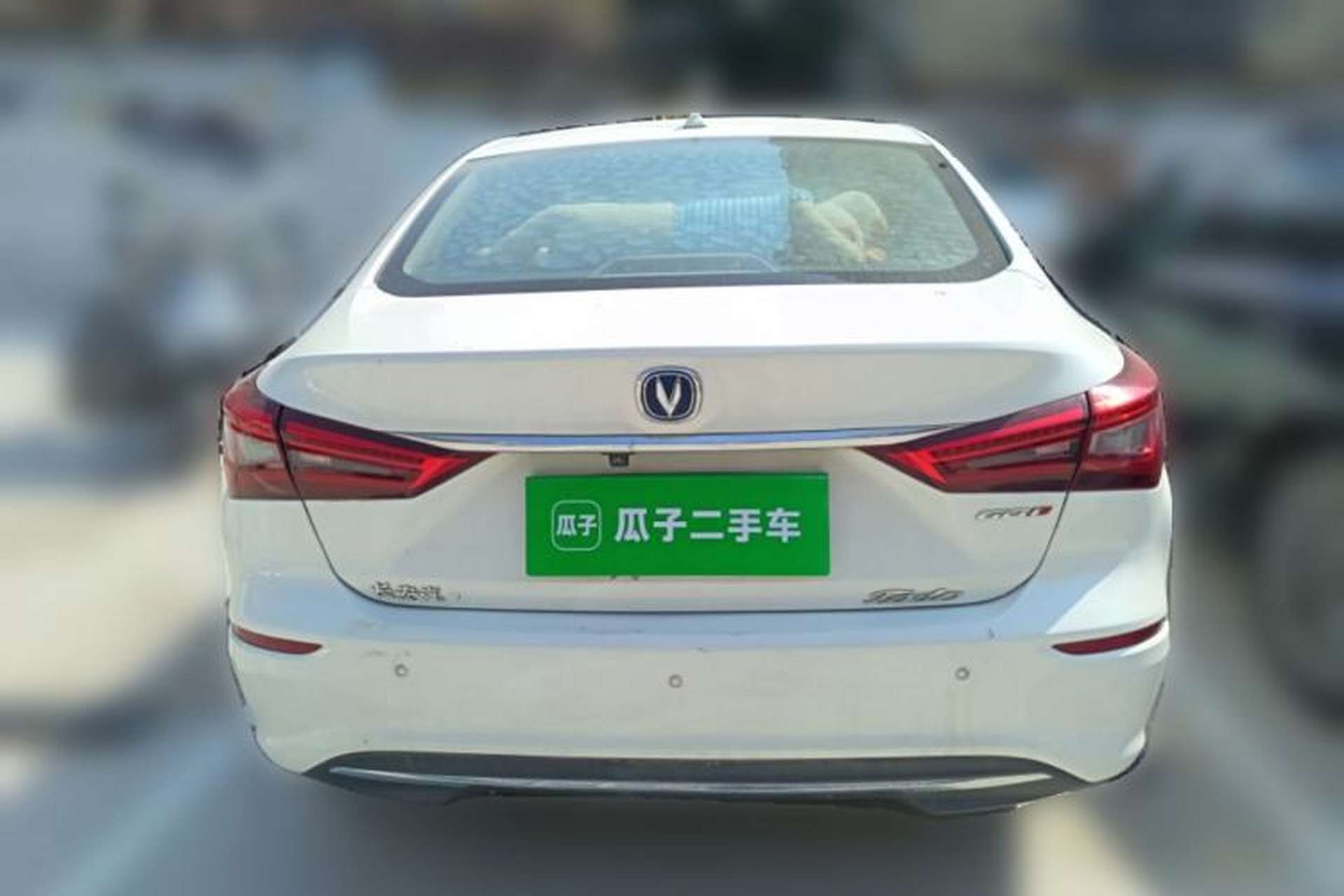 Used CHANGAN Eado 2018 1.6L GDI Automatic LingShang Model Rear