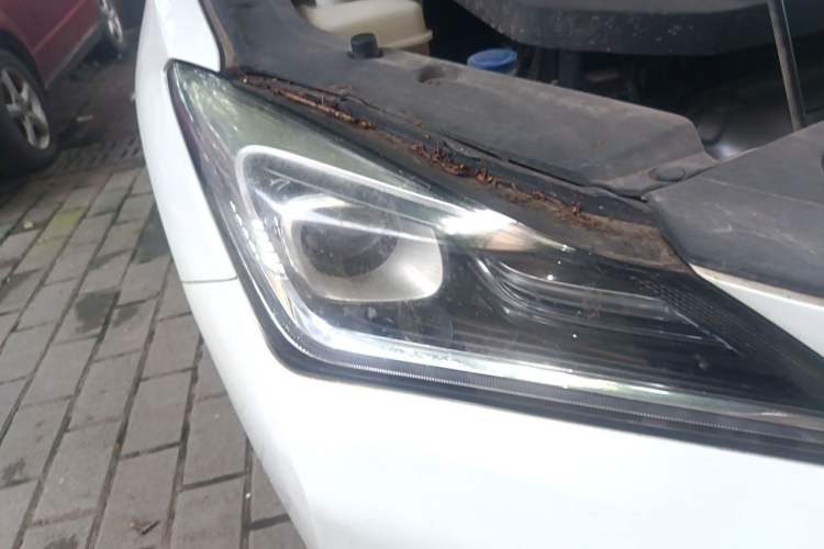 Used CHANGAN Eado 2018 1.6L GDI Manual Fashion Edition Right Front Headlight