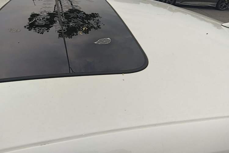 Used CHANGAN Eado 2018 1.6L GDI Automatic Prestige Model Roof