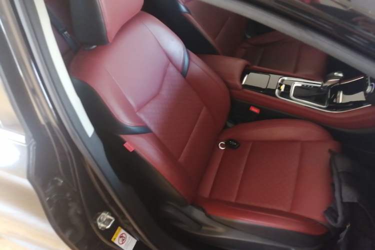Used CHANGAN Eado 2019 Blue Whale Edition 280T GDI DCT High-Speed Model Right Front Seat