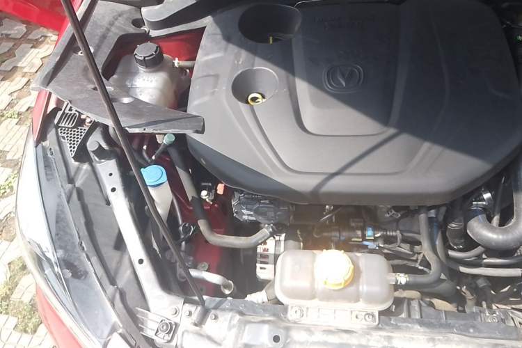 Used CHANGAN Eado 2019 Blue Whale Edition 280T GDI DCT High-Speed Model Engine Bay Right