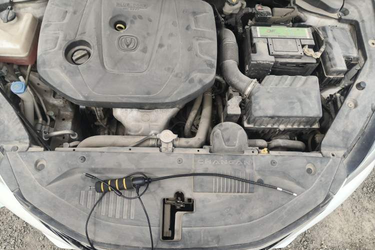 Used CHANGAN Eado 2019 High-Energy Edition 1.6L GDI Automatic Pioneer Model China VI Standard Engine Bay