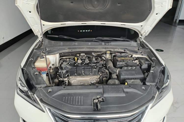 Used CHANGAN Eado 2019 1.6L GDI Manual Value Edition China VI Standard Engine Bay
