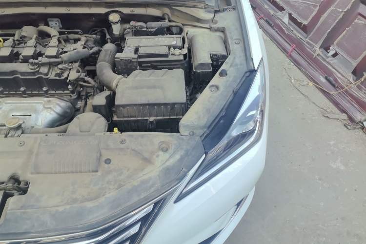 Used CHANGAN Eado 2019 1.6L GDI Manual Value Edition China VI Standard Engine Bay Left