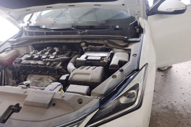 Used CHANGAN Eado 2019 1.6L GDI Manual Value Edition China VI Standard Engine Bay Left