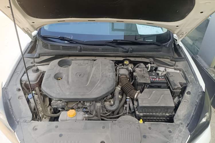 Used CHANGAN Eado 2019 Blue Whale Edition 280T GDI DCT Light-Speed Model Engine Bay
