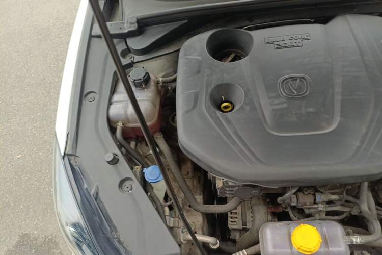 Used CHANGAN Eado 2019 Blue Whale Edition 280T GDI DCT High-Speed Model Engine Bay Right