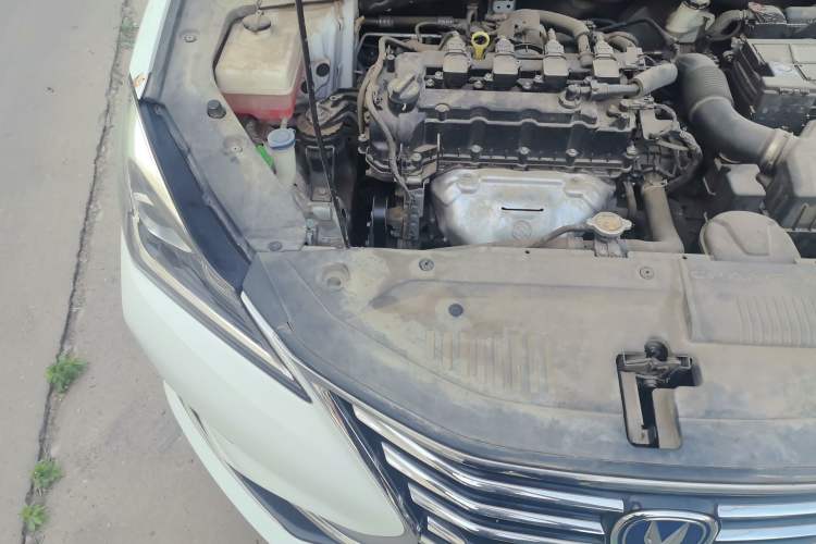 Used CHANGAN Eado 2019 1.6L GDI Manual Value Edition China VI Standard Engine Bay Right