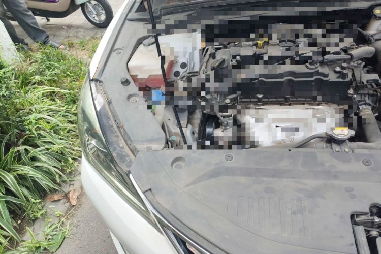 Used CHANGAN Eado 2019 1.6L GDI Manual Value Edition China VI Standard Engine Bay Right