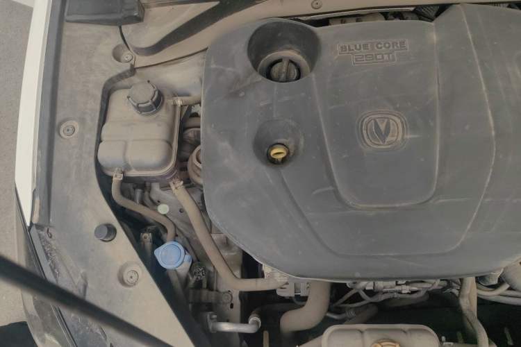Used CHANGAN Eado 2019 Blue Whale Edition 280T GDI DCT High-Speed Model Engine Bay Right