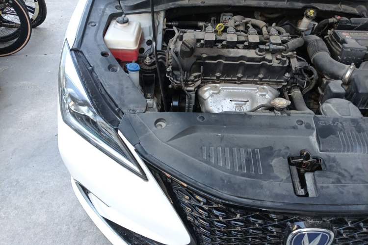 Used CHANGAN Eado 2019 1.6L GDI Manual Value Edition China VI Standard Engine Bay Right