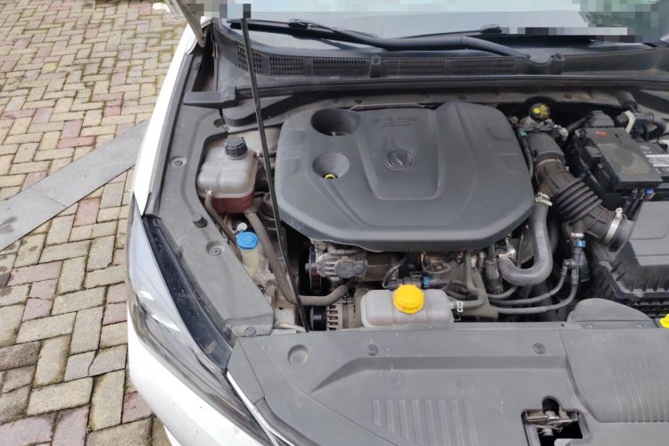 Used CHANGAN Eado 2019 Blue Whale Edition 280T GDI DCT Light-Speed Model Engine Bay Right