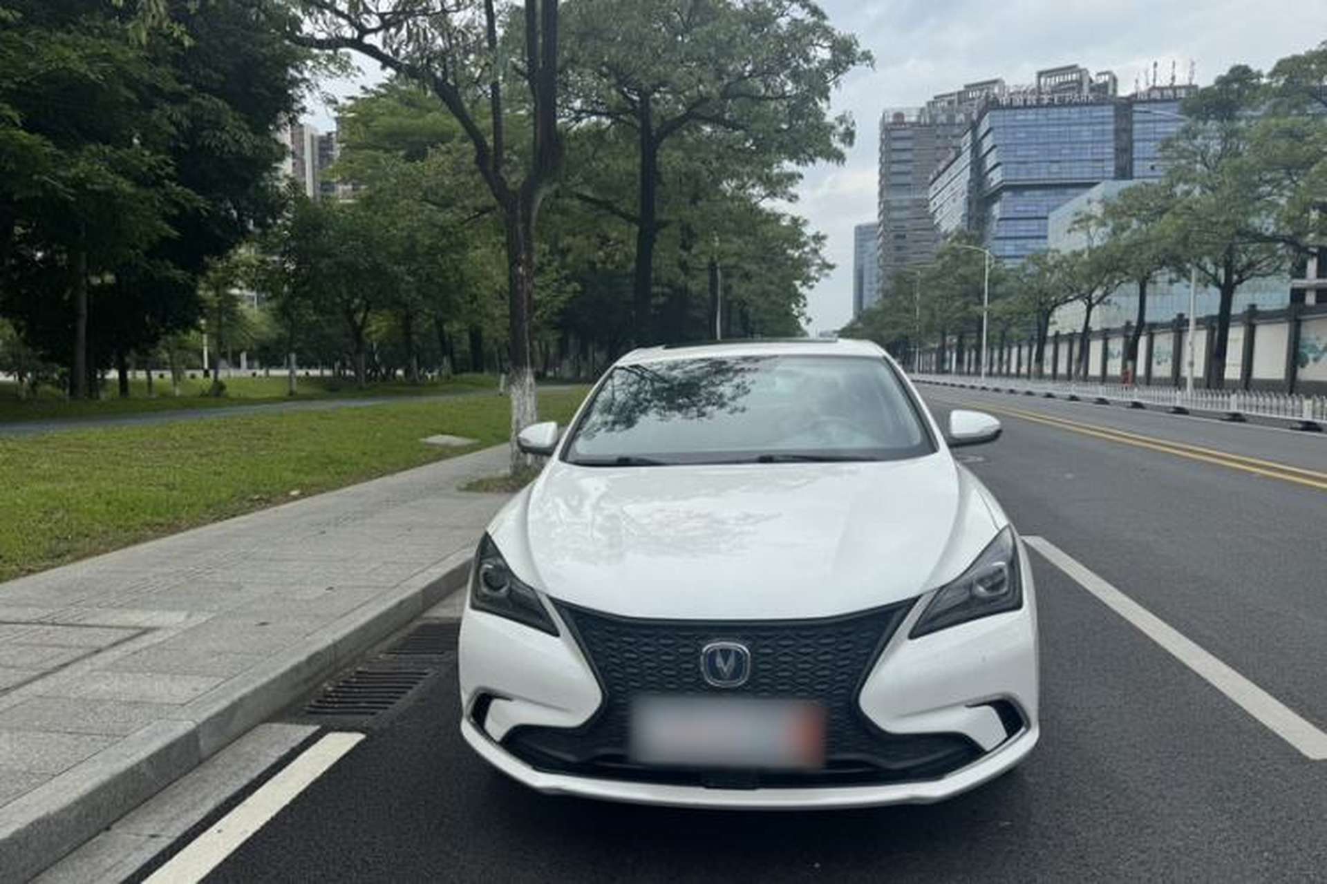 Used CHANGAN Eado 2019 Blue Whale Edition 280T GDI DCT High-Speed Model Exterior 4