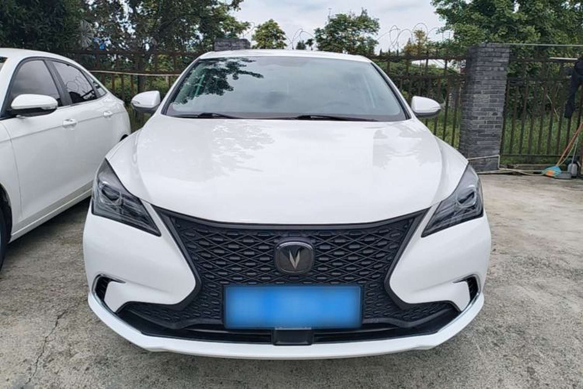 Used CHANGAN Eado 2019 Blue Whale Edition 280T GDI DCT High-Speed Model Front