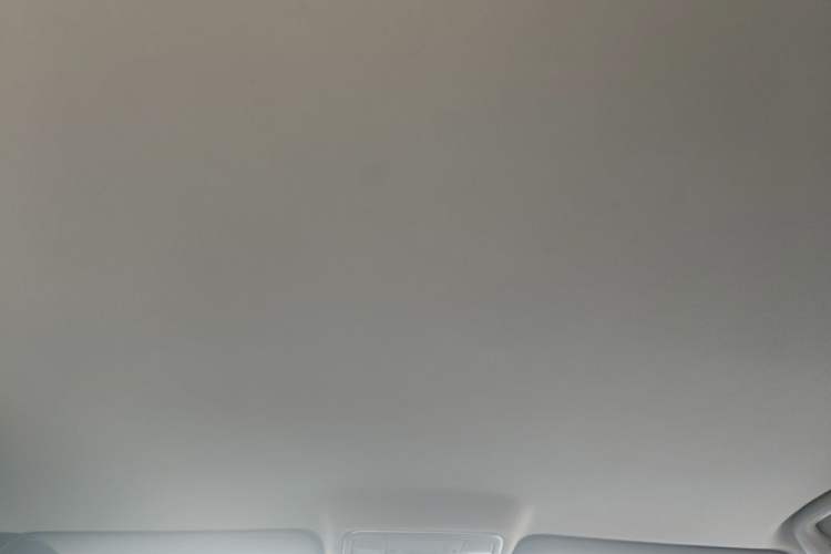 Used CHANGAN Eado 2019 1.6L GDI Manual Value Edition China VI Standard Headliner