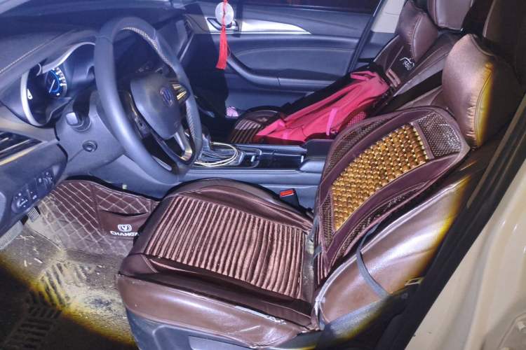Used CHANGAN Eado 2019 High-Energy Edition 1.6L GDI Automatic Pioneer Model China VI Standard Left Front Seat