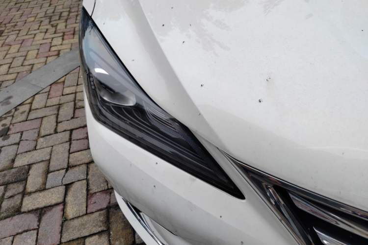 Used CHANGAN Eado 2019 Blue Whale Edition 280T GDI DCT Light-Speed Model Right Front Headlight