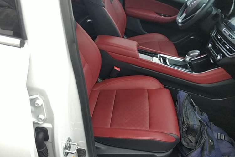 Used CHANGAN Eado 2019 Blue Whale Edition 280T GDI DCT Light-Speed Model Right Front Seat