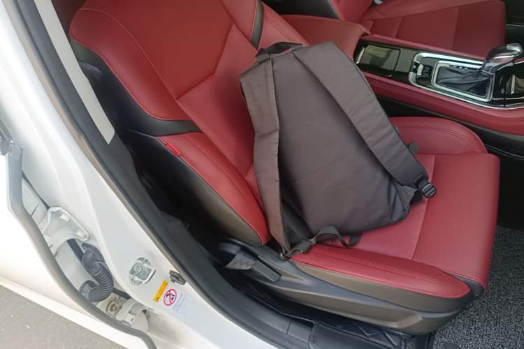 Used CHANGAN Eado 2019 Blue Whale Edition 280T GDI DCT Light-Speed Model Right Front Seat