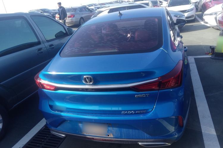 Used CHANGAN Eado 2020 PLUS Blue Whale NE 1.4T GDI DCT Prestige Model Exterior 4