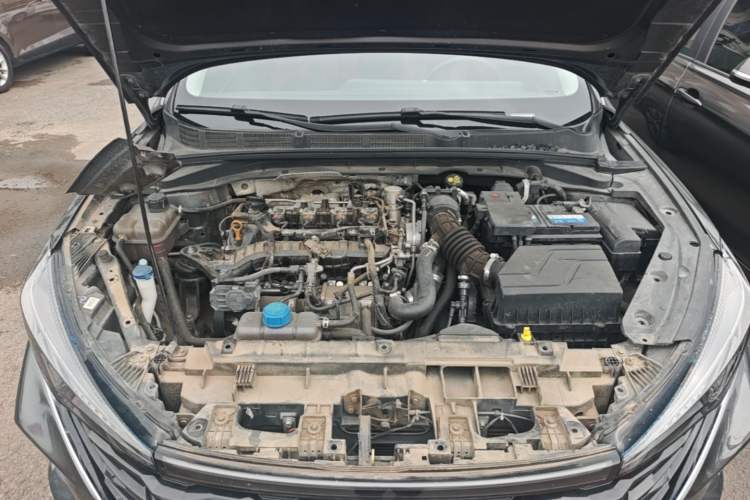 Used CHANGAN Eado 2020 PLUS Blue Whale NE 1.4T GDI DCT Prestige Model Engine Bay
