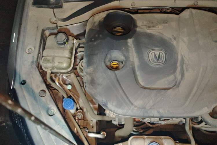Used CHANGAN Eado 2020 PLUS Blue Whale NE 1.4T GDI DCT Prestige Model Engine Bay Right