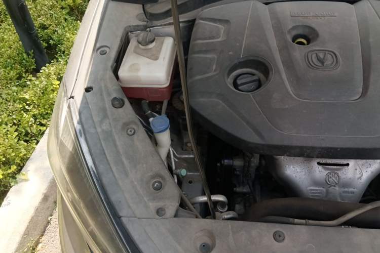 Used CHANGAN Eado 2020 PLUS 1.6L GDI Automatic Luxury Model Engine Bay Right
