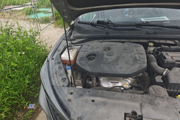 Used CHANGAN Eado 2020 PLUS Million Edition 1.6L GDI CVT Luxury Model Engine Bay Right