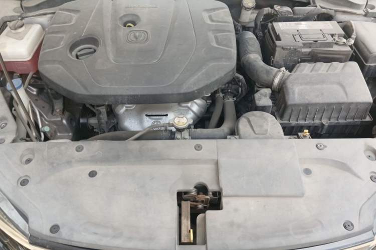 Used CHANGAN Eado 2020 PLUS 1.6L GDI Automatic Luxury Model Engine Bay