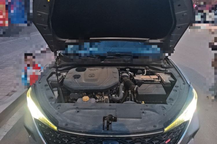Used CHANGAN Eado 2020 PLUS Blue Whale NE 1.4T GDI DCT Prestige Model Engine Bay
