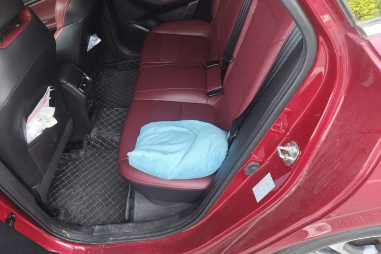 Used CHANGAN Eado 2020 PLUS Blue Whale NE 1.4T GDI DCT Flagship Model Left Rear Seat