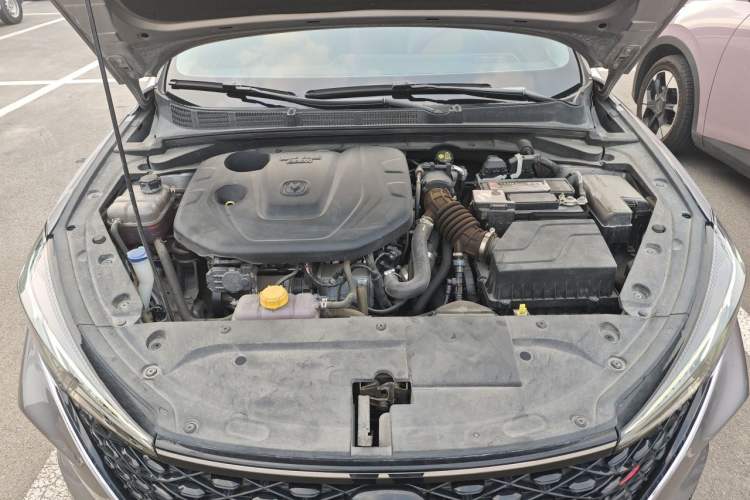 Used CHANGAN Eado 2020 PLUS Blue Whale NE 1.4T GDI DCT Prestige Model Engine Bay