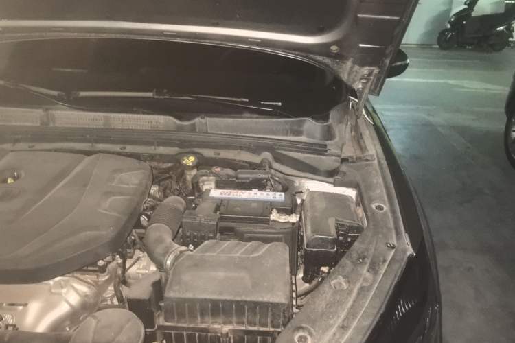 Used CHANGAN Eado 2020 PLUS Million Edition 1.6L GDI CVT Luxury Model Engine Bay Left