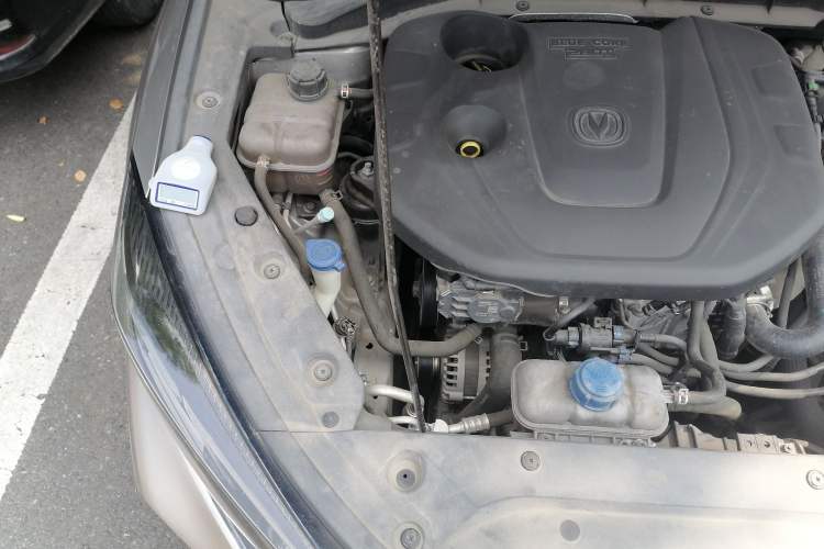 Used CHANGAN Eado 2020 PLUS Blue Whale NE 1.4T GDI DCT Flagship Model Engine Bay Right