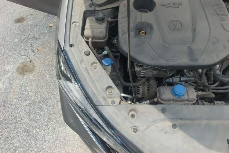 Used CHANGAN Eado 2020 PLUS Blue Whale NE 1.4T GDI DCT Prestige Model Engine Bay Right