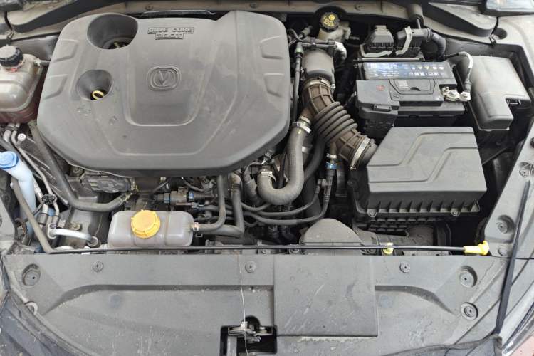 Used CHANGAN Eado 2020 PLUS Blue Whale NE 1.4T GDI DCT Prestige Model Engine Bay