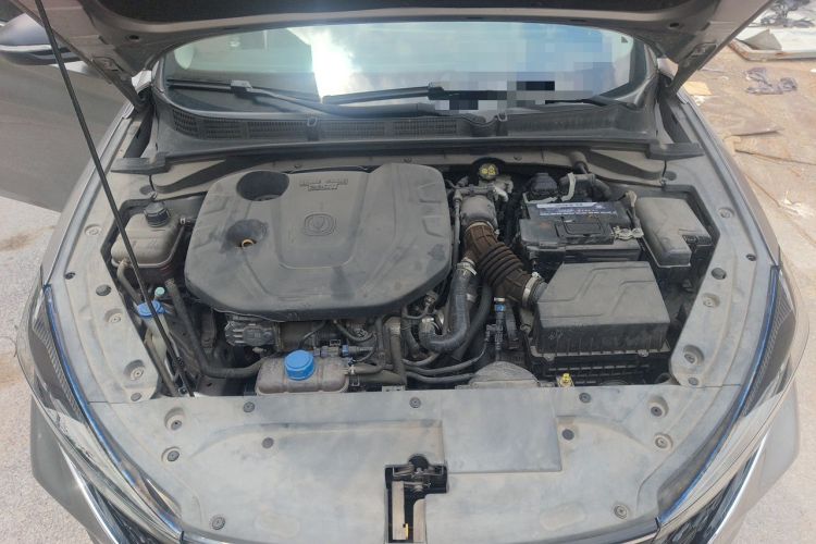Used CHANGAN Eado 2020 PLUS Blue Whale NE 1.4T GDI DCT Prestige Model Engine Bay