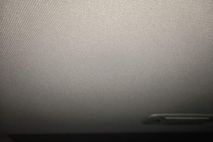 Used CHANGAN Eado 2020 PLUS Blue Whale NE 1.4T GDI DCT Prestige Model Headliner