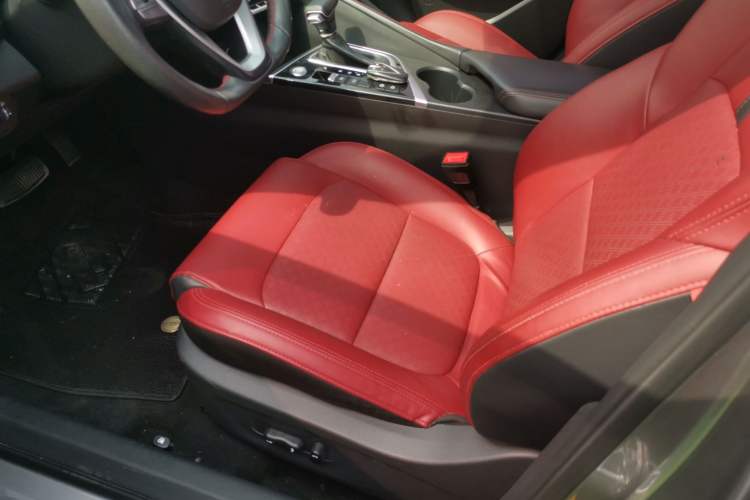 Used CHANGAN Eado 2020 PLUS Blue Whale NE 1.4T GDI DCT Flagship Model Left Front Seat