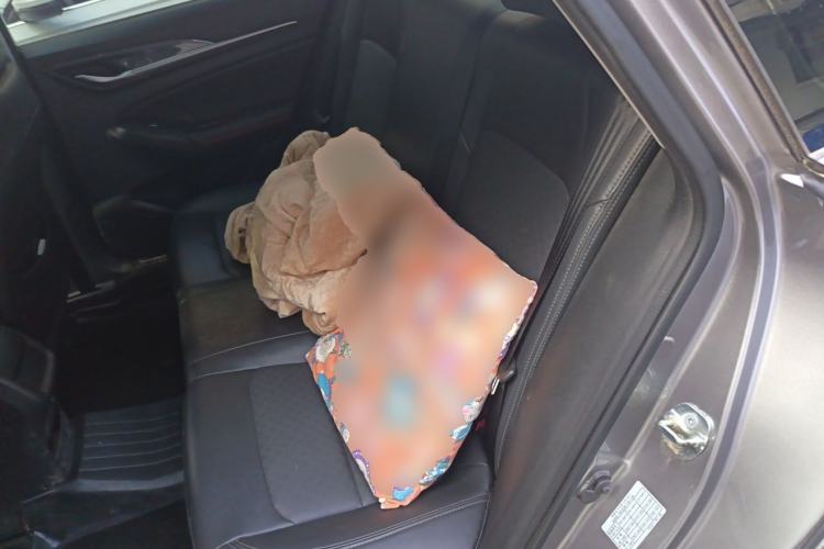 Used CHANGAN Eado 2020 PLUS 1.6L GDI Manual Luxury Model Left Rear Seat