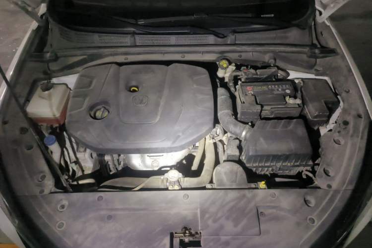 Used CHANGAN Eado 2020 PLUS 1.6L GDI Automatic Luxury Model Engine Bay